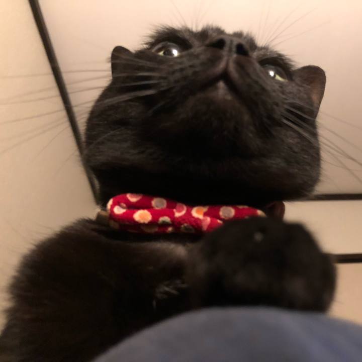 7efa878a b275 4f58 b485 481c4e7c4994 1616417365520