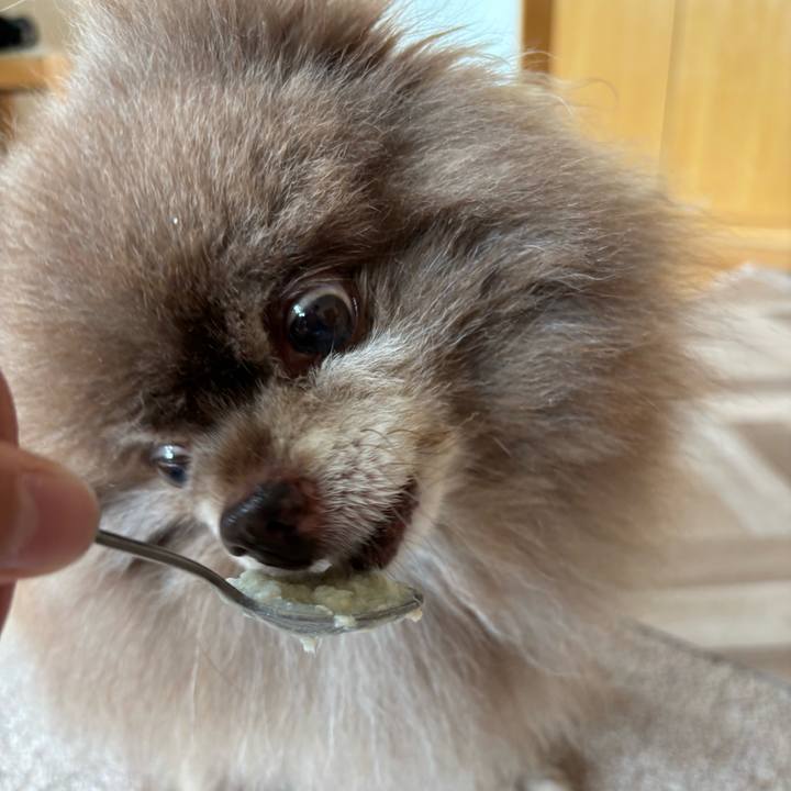 7efa9e5e 8a64 46d5 a55c 2c42dcdd0822 1751574003432