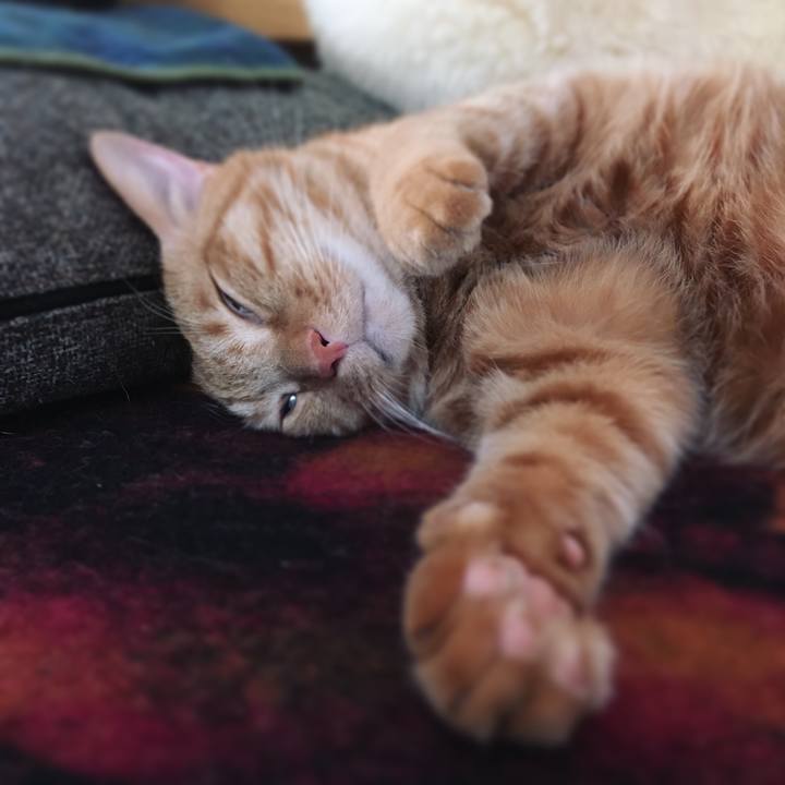 7efaabd9 48d1 44f2 8a34 74c02f19dc61 1604062248762