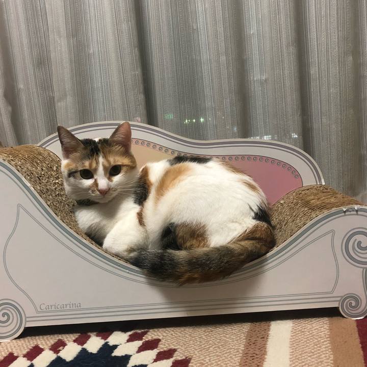 7efaac28 5a8f 44dc b543 3e6dba2e51cd 1593609007913