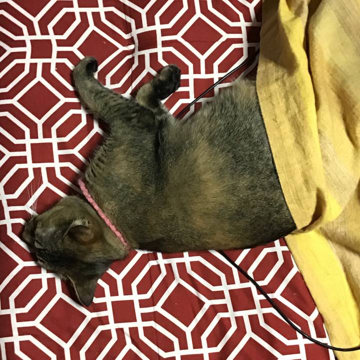 7efb00fd 30c8 4a07 88dd 04845952dcbb 1614935272507