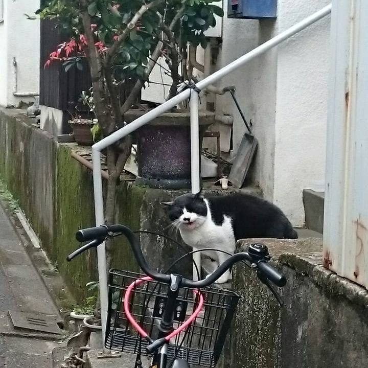 7efb050e 362d 4324 8530 bb5ae02879e3 1519607746365