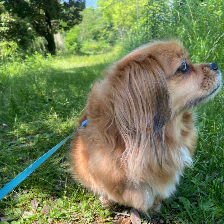 7efb44d8 782a 4354 9ebb f6f561a2f47f 1653699580955