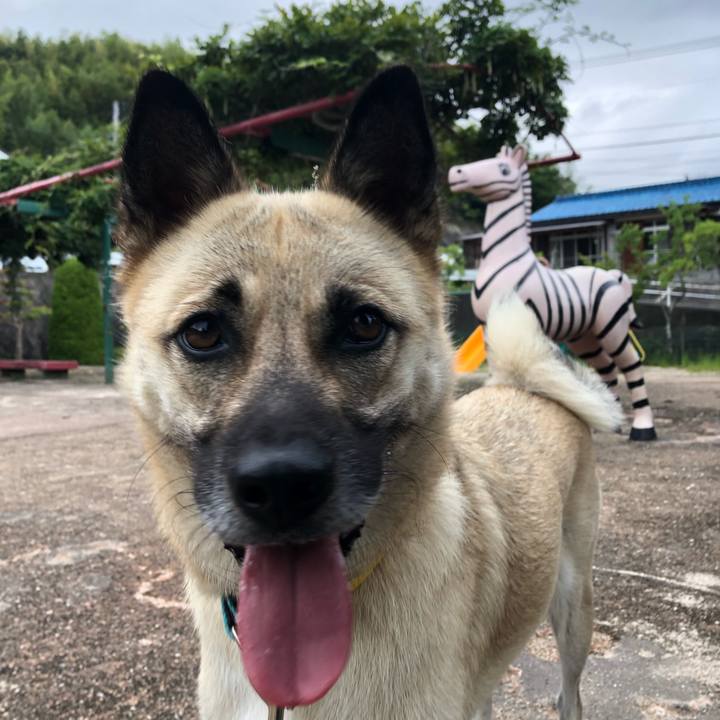 7efb67d7 364c 432c bccb e8e3a7f5926e 1537006542174