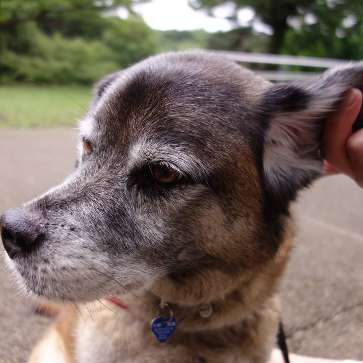 7efb86e4 47c2 4c09 97e8 5a9d5f309077 1529199781629