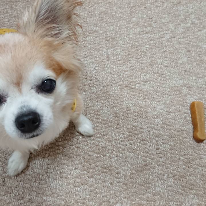 7efb9204 6e01 4e9a a0ab 0fdae1a0cbe9 1535283768450