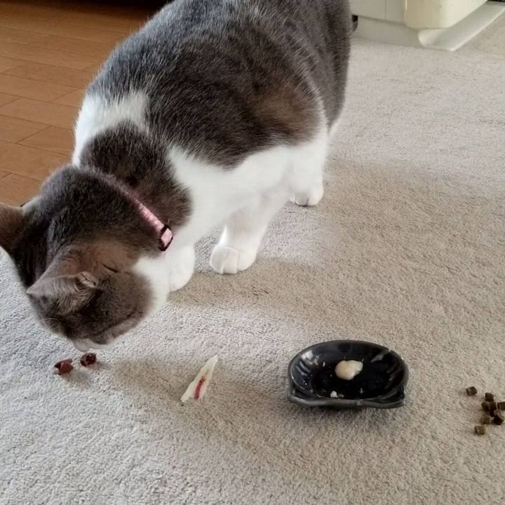 7efb944e 1894 4a54 9cfa 95fad4c293d9 1563513764052