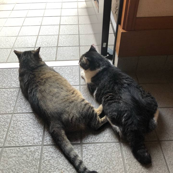 7efba2a5 4605 449e 9feb fe13ccdba569 1532085053822