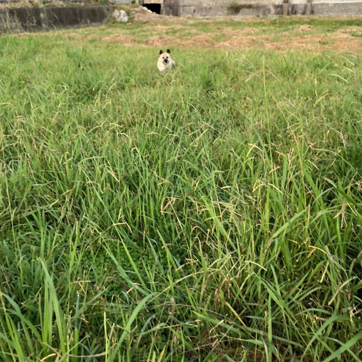 7efc1111 9b5b 41eb b8c4 846aa41fcc45 1571316490054