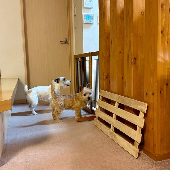 7efc11b9 31a5 4aee b844 2e14c04702a3 1709033196580