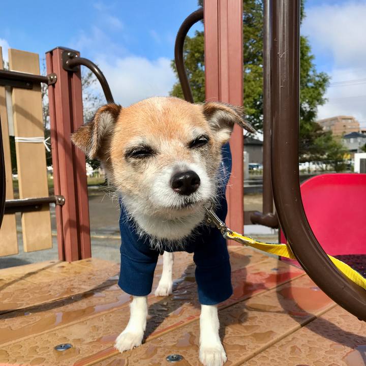 7efc4713 279d 4958 8c15 6148db66d5ff 1635210022222