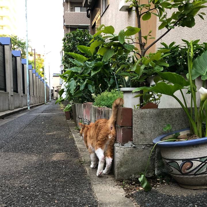 7efc4e63 1d87 4321 af3b 785d2845ab3e 1556481988050