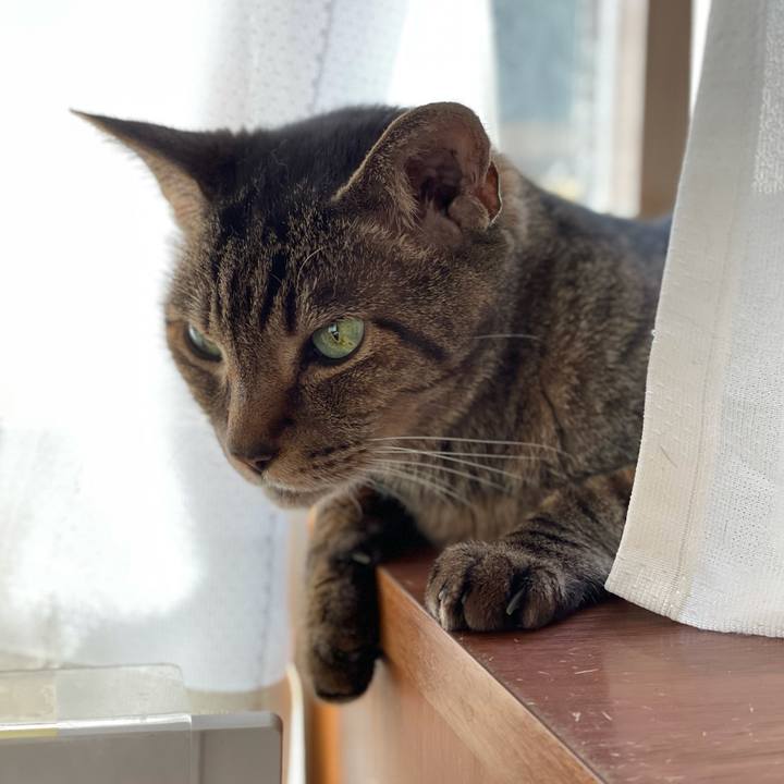 7efc6040 9e8d 4a00 94aa d392dcf4547e 1626659111391