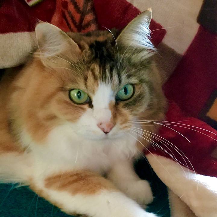 7efc6ac4 b93b 4483 a992 31e685695784 1606728408736