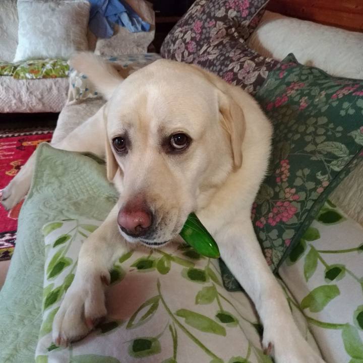 7efc6ef7 87dd 4f3e 80a5 883263f2686b 1593510843325