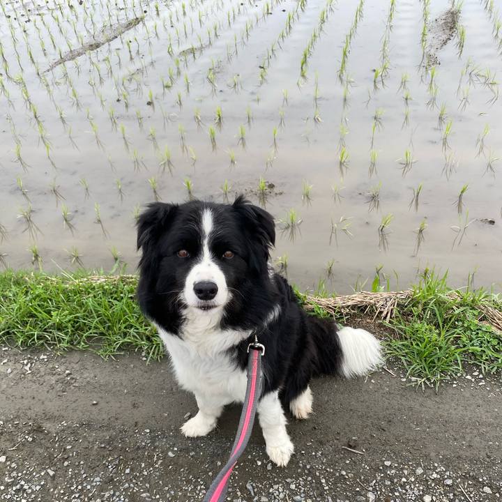 7efc7023 9607 4674 b3e2 5a2fc579c092 1592608492140