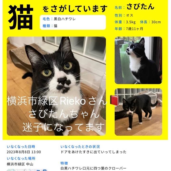 7efca6b3 a5aa 4b3d 9980 7b91331db32e 1691500256790