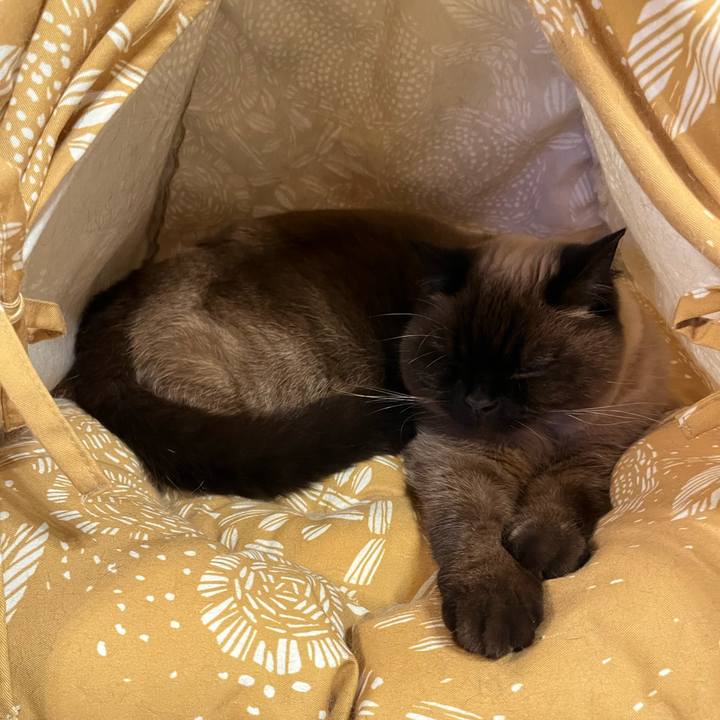 7efcb311 a5ca 426f 950f 25bac7610eed 1676288398715