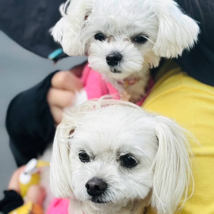 7efcd6e0 e1a6 4038 b099 13f0961eff60 1718803023575