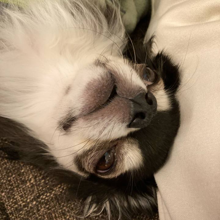 7efd1f0d a545 48c0 b861 a0c3c5622de6 1707721068249