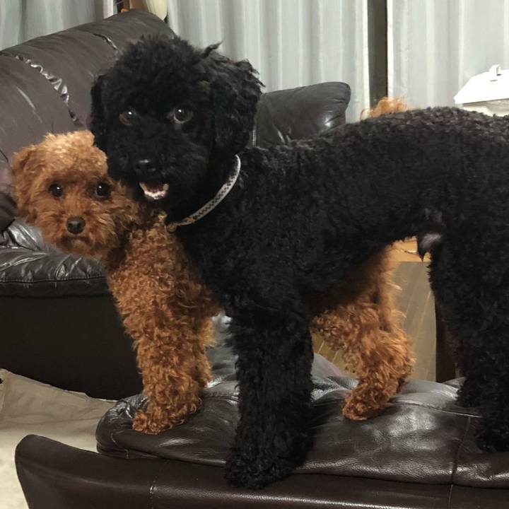 7efd312f 1783 4c2d a7c5 da1d51946d01 1529803643341