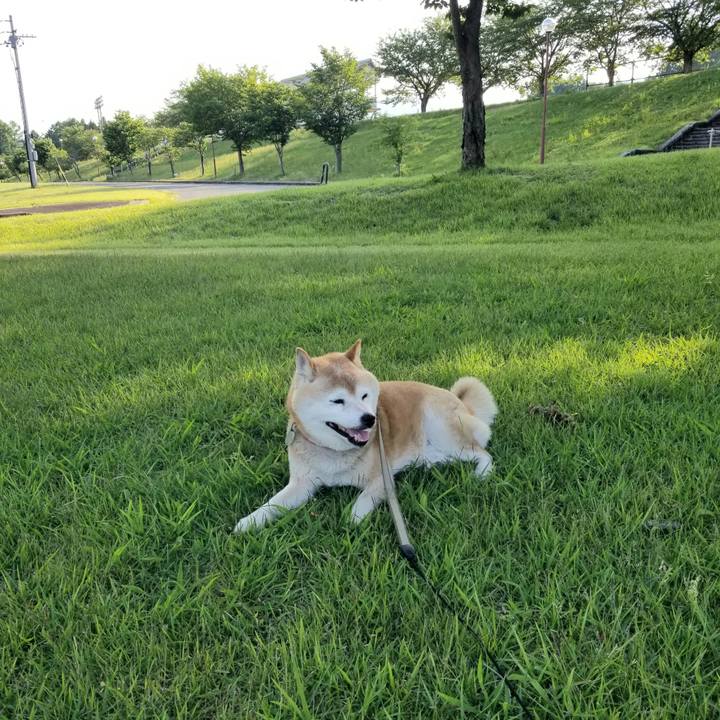 7efd3d54 8072 4a52 9179 85e110e9b673 1718092787408