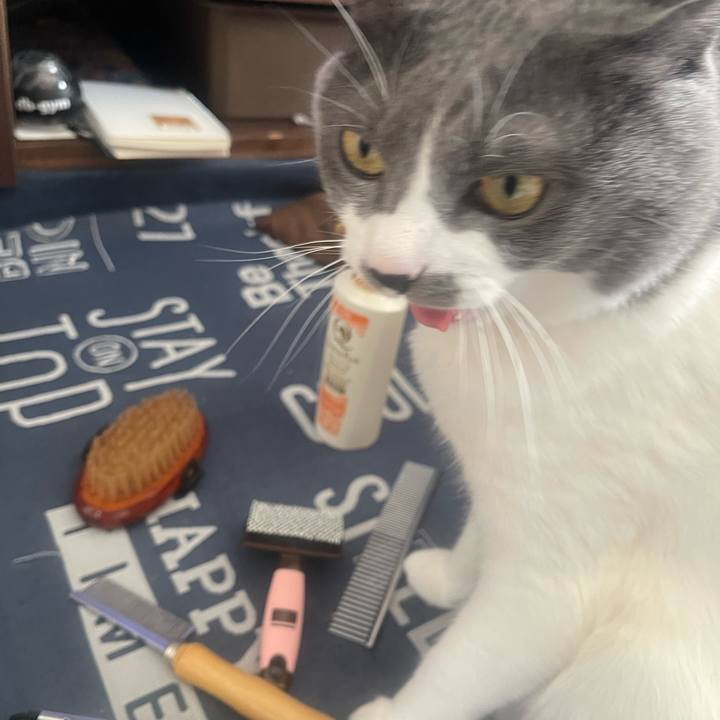 7efd58b8 6f2c 4261 a3da f2ec3bd97404 1700964963834