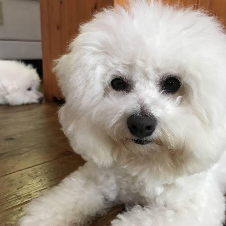 7efd61e1 0bbf 4f37 9280 835a766dab93 1593158554651