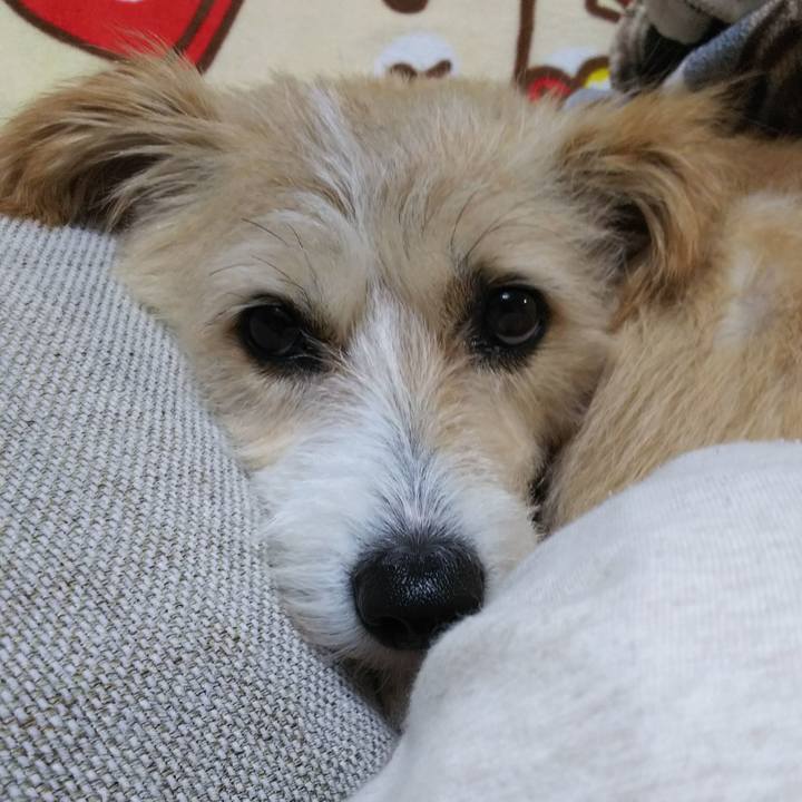 7efd6d6b 3235 4c5a 9c84 0af1cdd894c9 1539336154762