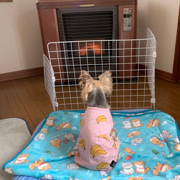 7efd6f60 9160 40a0 8c94 be8ca2c81b06 1606213189613