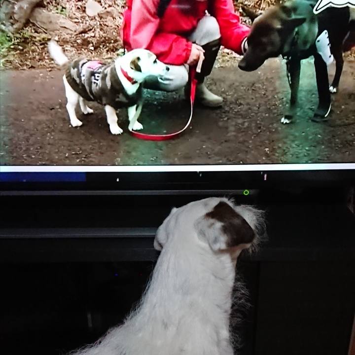 7efd99cc d98f 4a51 96e1 ce85e37f14af 1521462787505