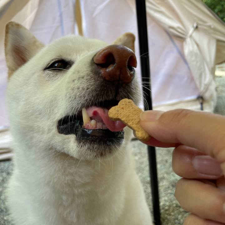 7efda1e1 1e08 4bb0 88c4 85d854cc743c 1692492260668