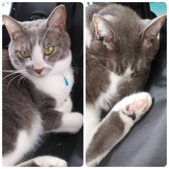 7efdffb7 f71c 42a4 9df0 5f1609e48f7a 1637668860920