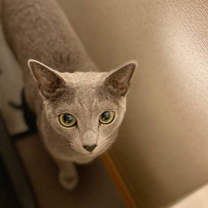 7efe358e 3432 4bf9 8271 bc5fd0bcb916 1640127468871