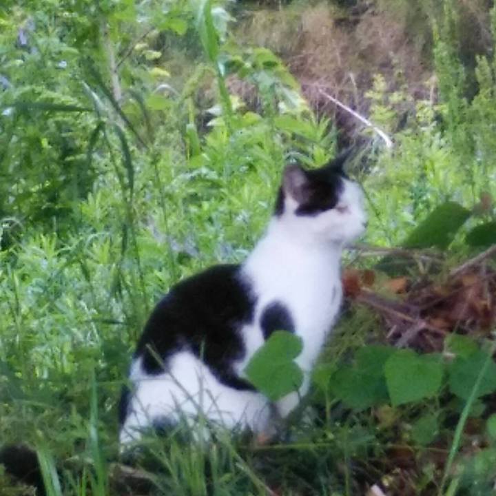 7efe3635 36e6 4601 873d 697757b4e5c0 1590105282134