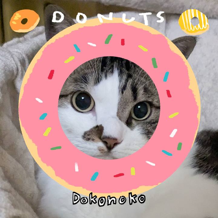 7efe445e 1dcb 4a6f ba71 648b1abf3330 1744284710517