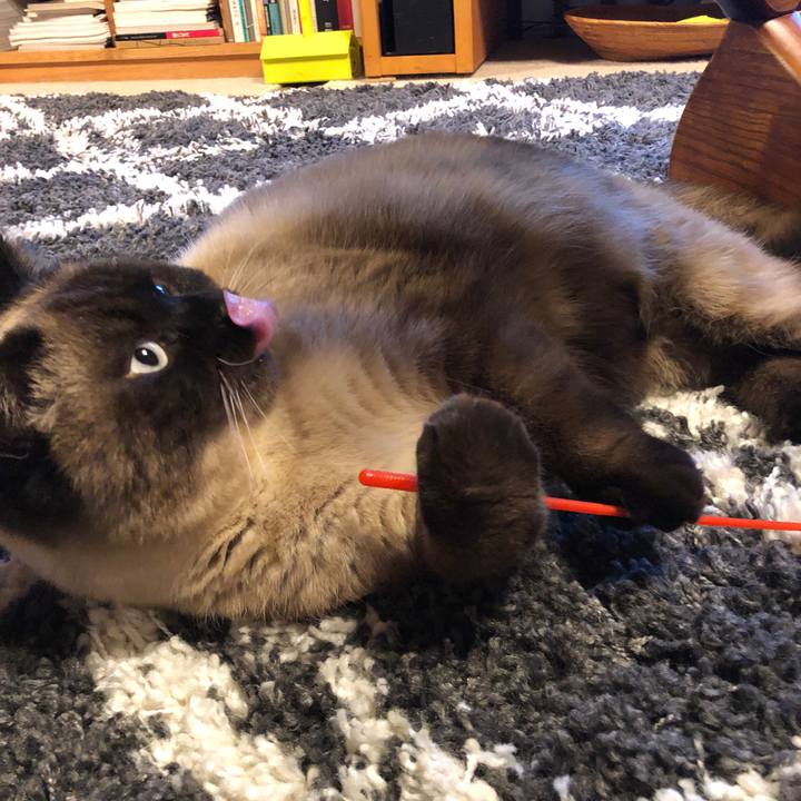 7efe4545 93b4 4036 af6c 809089e64e94 1616890549030