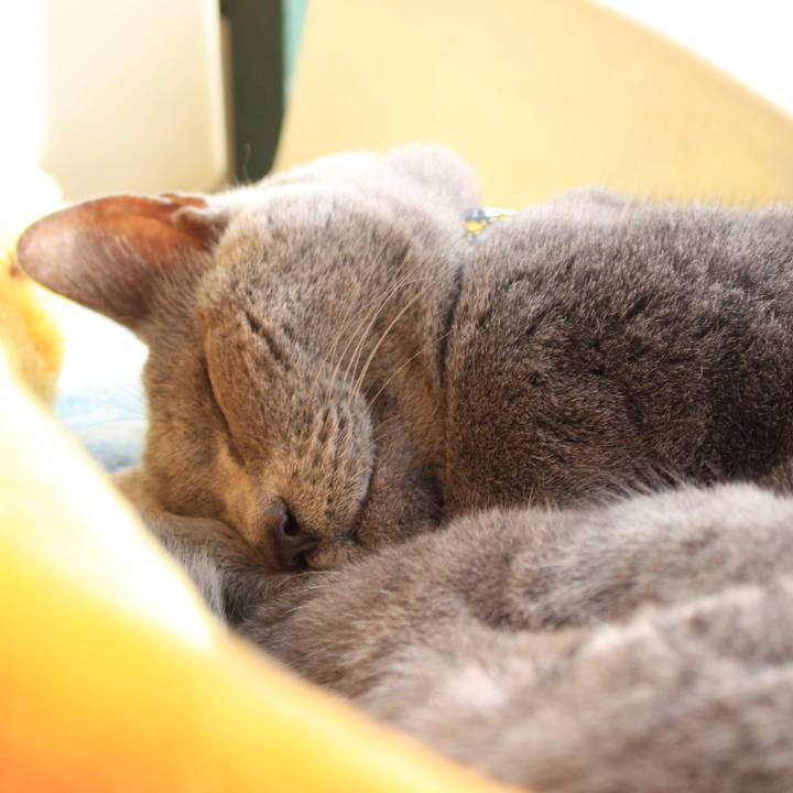 7efe4d89 d1db 4df4 a4fa 6e29d3fe3650 1576144797409