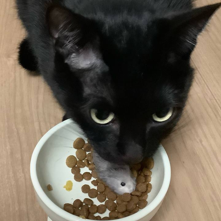 7efe621b 4659 44b8 95d5 8f2bc1997739 1677152411403