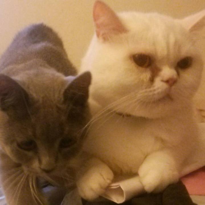 7efe67aa 0a9d 4b41 ab21 93c1ee762f6c 1537395887987