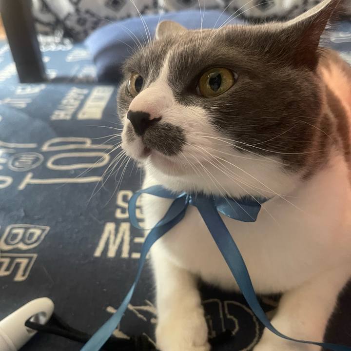 7efe7838 a1b0 430f 9034 444c345bce5d 1747801031285