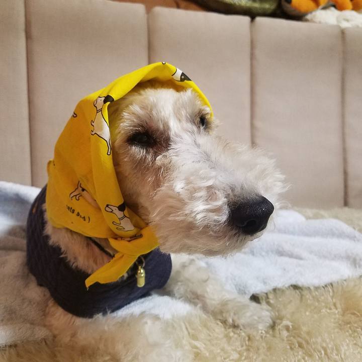 7efe872d 3e2c 43f0 a7a0 3d8785a0689c 1553179421301