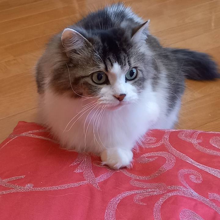 7efe8763 7548 4bc4 b5f7 de5aa8dec410 1645052050319