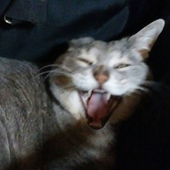 7efe8a2c dcc0 4c5c 8697 e491145ed89d 1560174981578