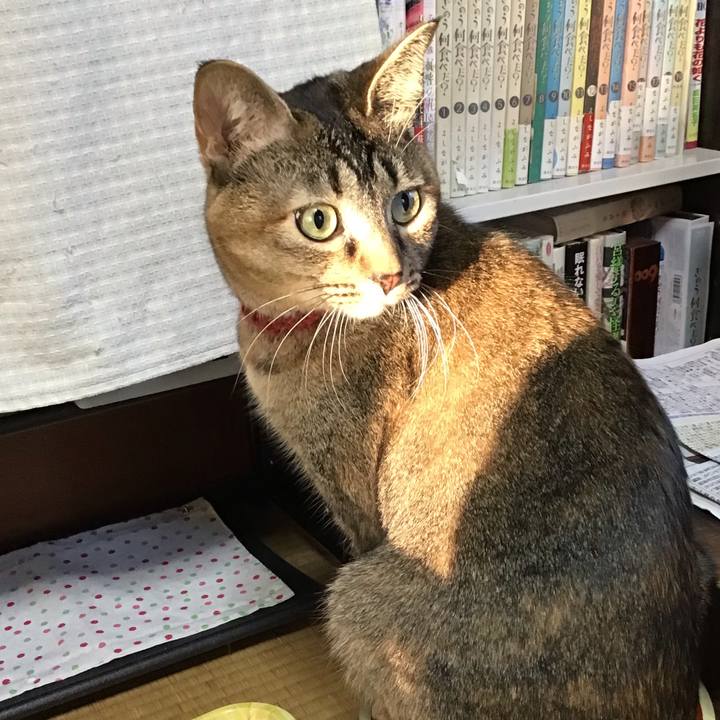 7efea12c 5883 4930 8732 ab44fd2ee5cd 1639464079854