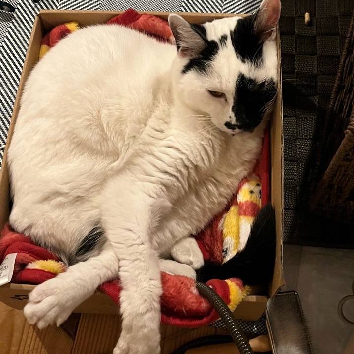 7efee1cb e494 40b5 a83d 89acb4dc2586 1761228625128