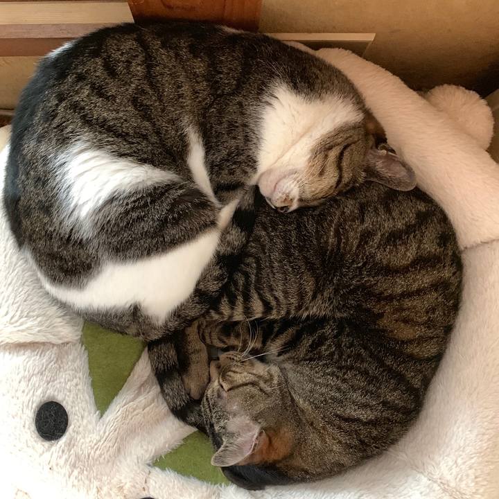 7efef6ef 9c92 4c3e aace 10efcb412213 1559436776131