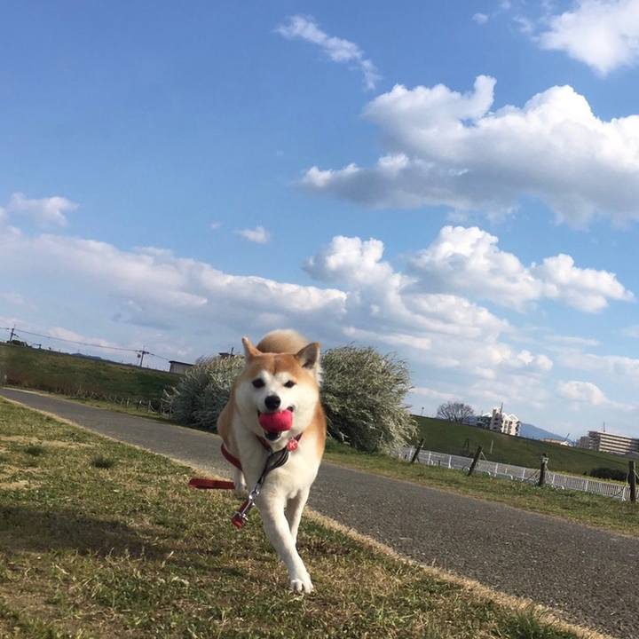 7eff0f0c 6829 484a 93d4 44b4cf64f387 1585129384573