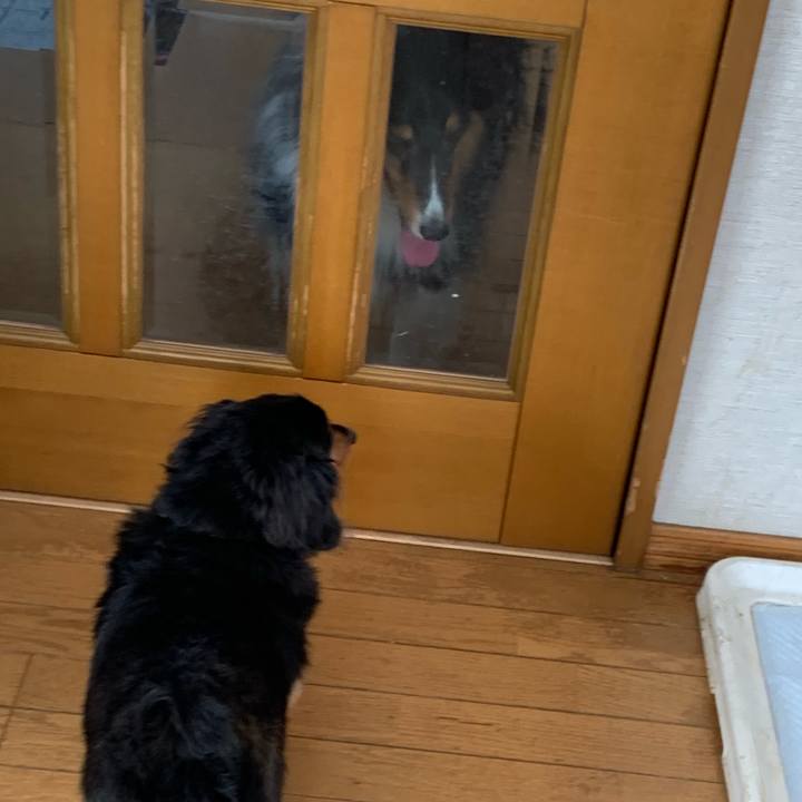 7eff1bcc fdd6 4775 b1be 03036b505af2 1591135616735