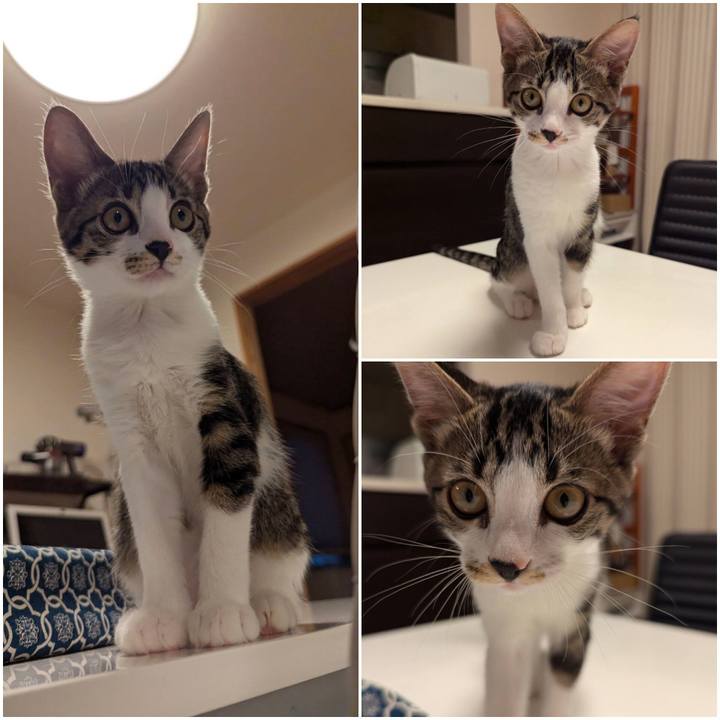 7eff50a6 5f41 4731 9025 b4148f9b6ae8 1723354610103